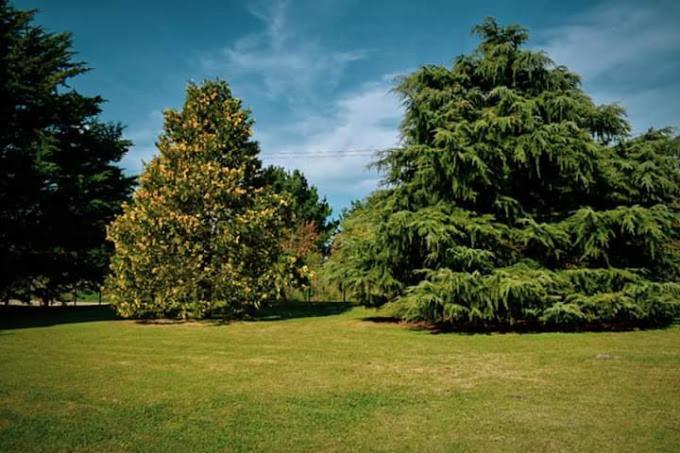 Village Park Tandil Extérieur photo