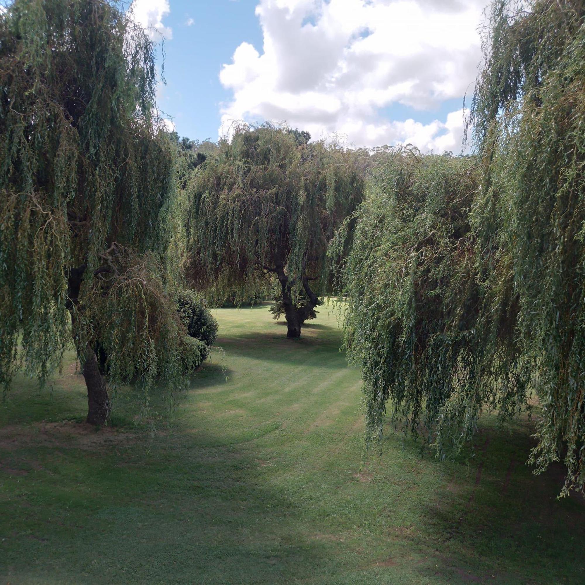Village Park Tandil Extérieur photo